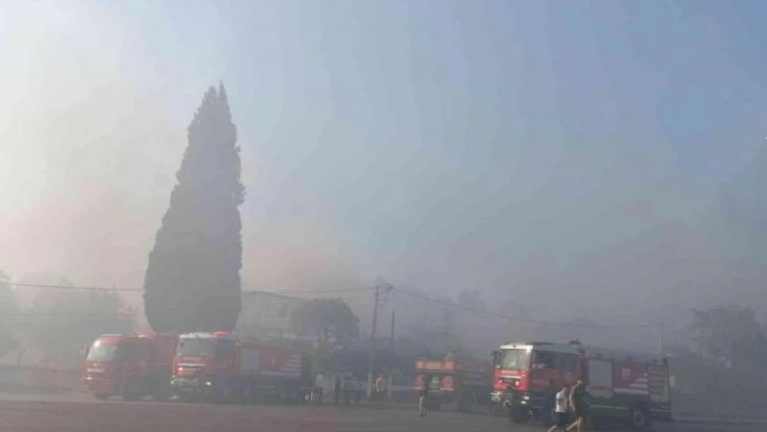 İzmir'de çıkan yangın kontrol altına alındı