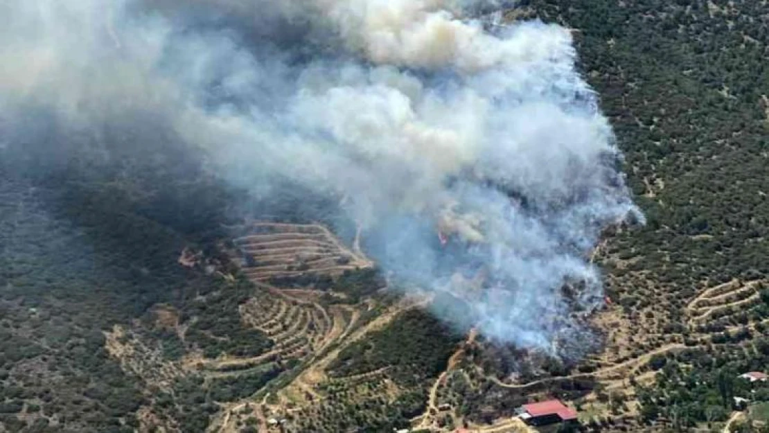 İzmir'de iki ayrı noktada yangın