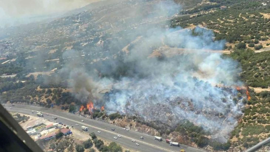 İzmir'de makilik alandaki yangına havadan ve karadan müdahale