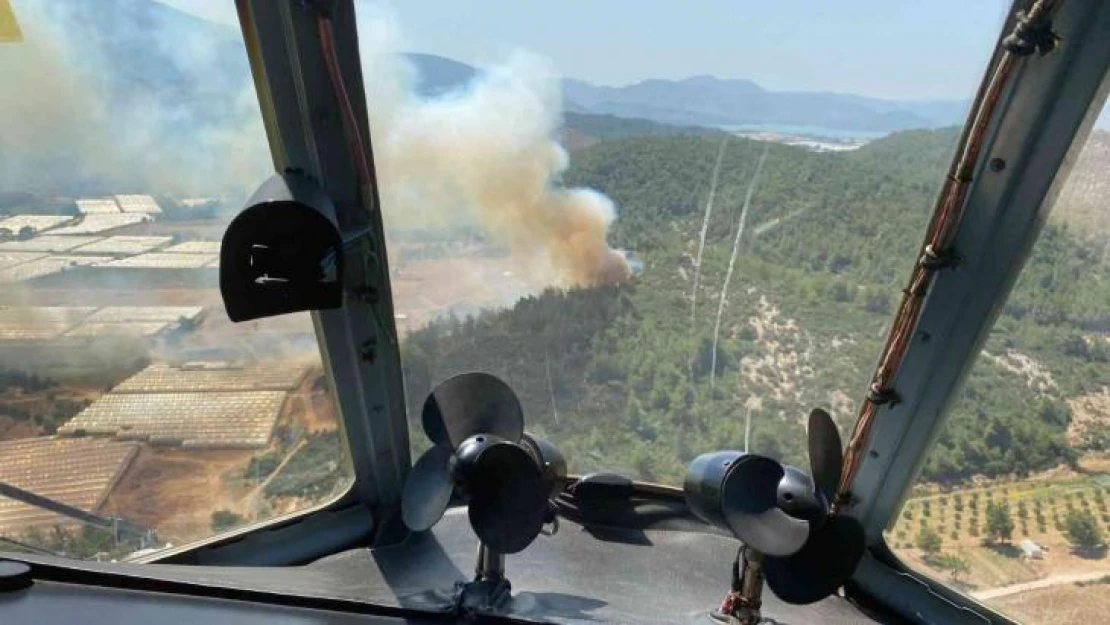 İzmir'de sera yangını