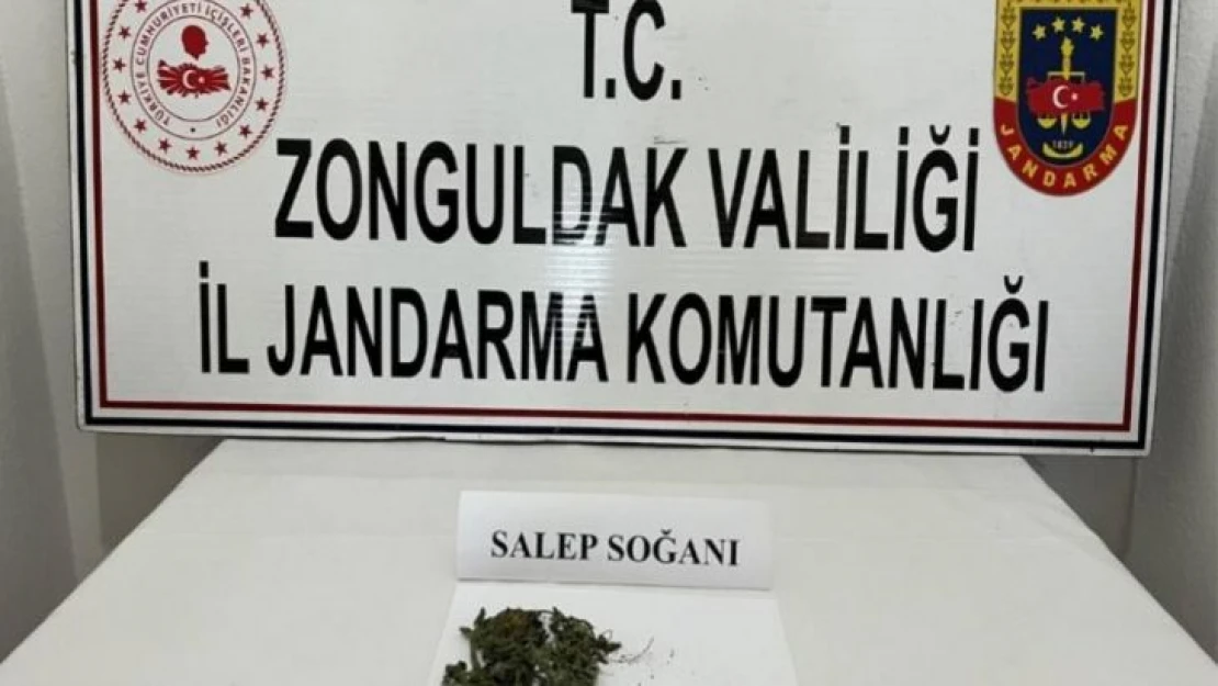 Jandarma şüphelendiği araçta 2 adet salep soğanı ele geçirdi