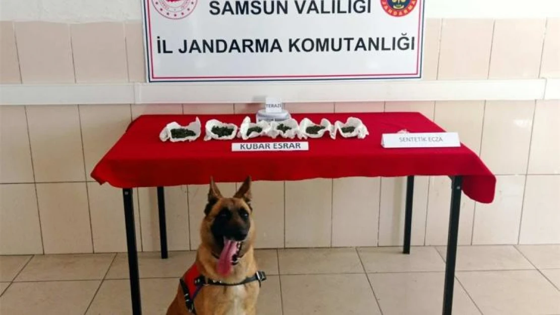 Jandarmadan uyuşturucu operasyonları: 37 gözaltı