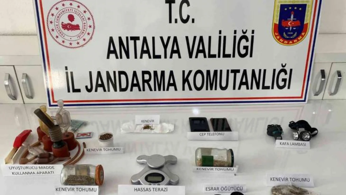 Jandarmadan uyuşturucu operasyonu