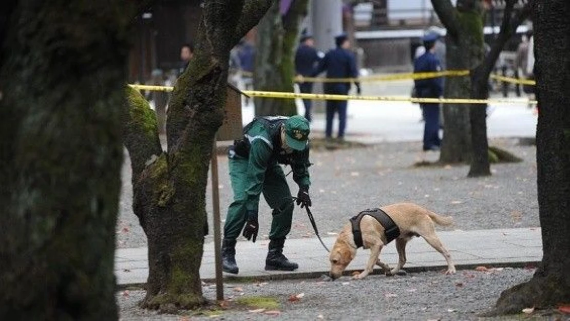 Japonya'da Yasukuni Tapınağı'nda patlama