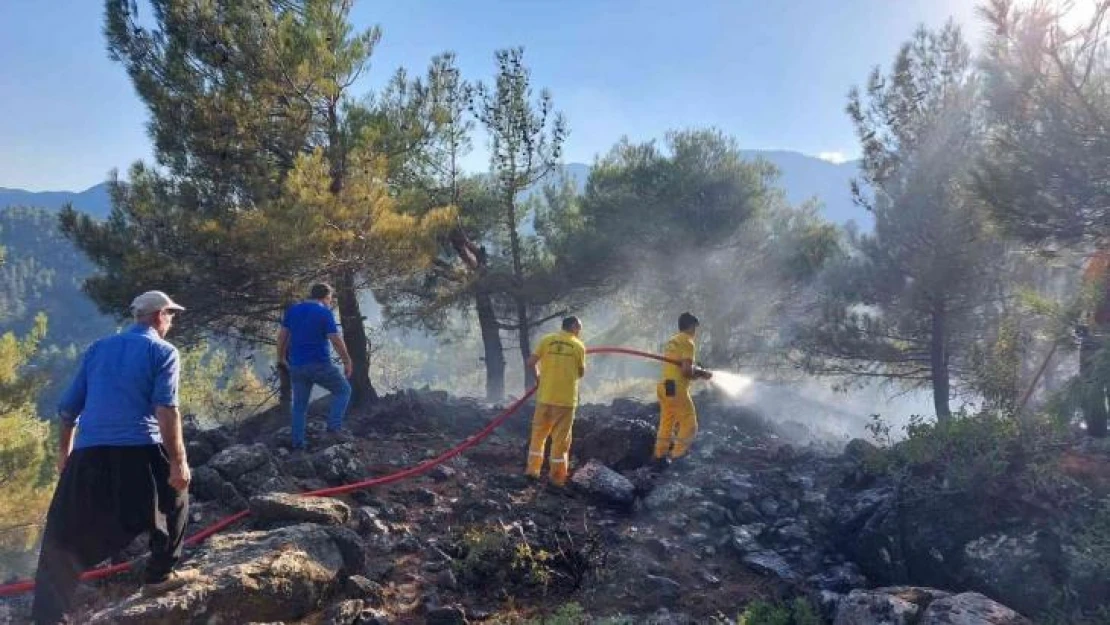 Kahramanmaraş'ta 6 noktada çıkan yangın söndürüldü, ormanları yakan şüpheli yakalandı