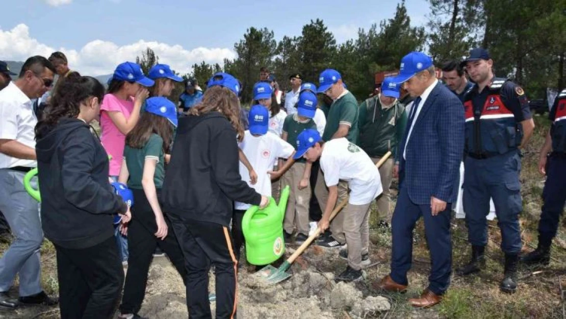 Karabük'te küle dönen orman dikilen fidanlarla yeşillenecek