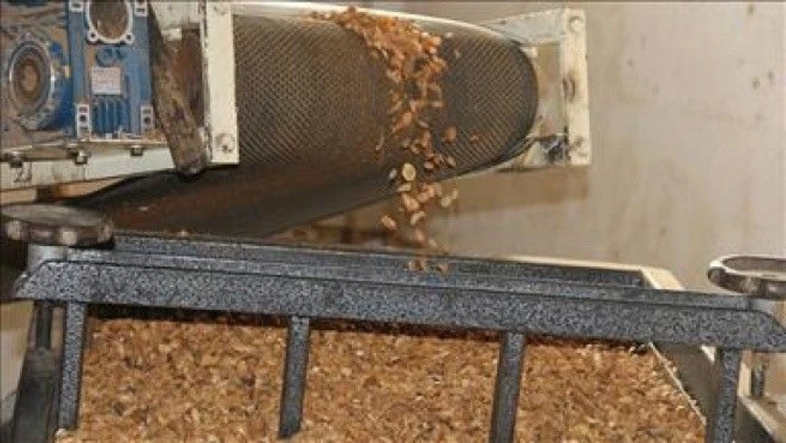 Kayısı tankların zırhını da koruyor