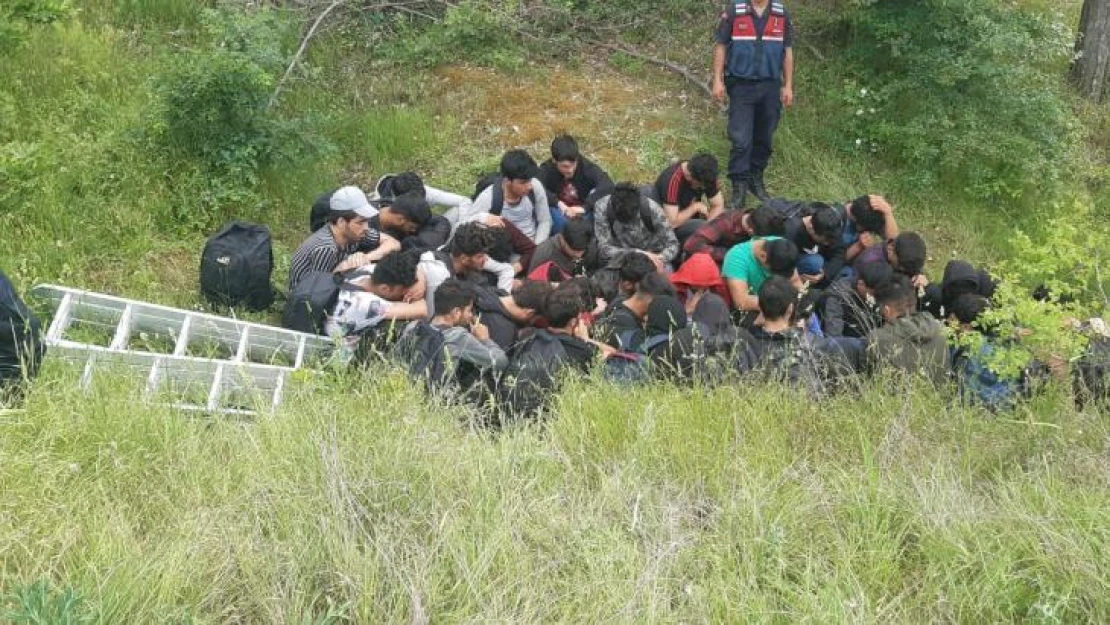 Kırklareli'nde 32 kaçak göçmen ormanda saklanırken bulundu: 1 gözaltı