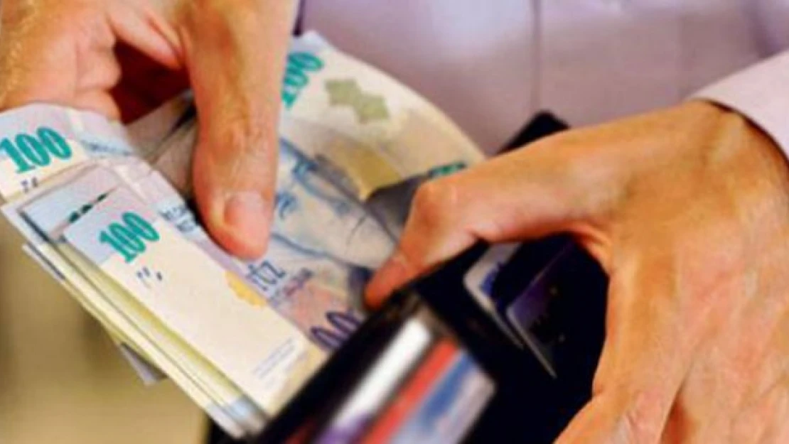 Kişi başı tasarruf 20 bin lira