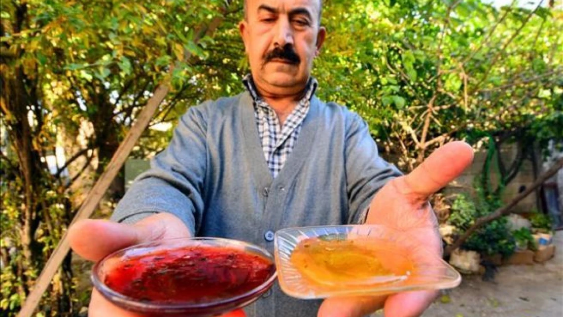 Kovandan 'kırmızı bal' çıktı