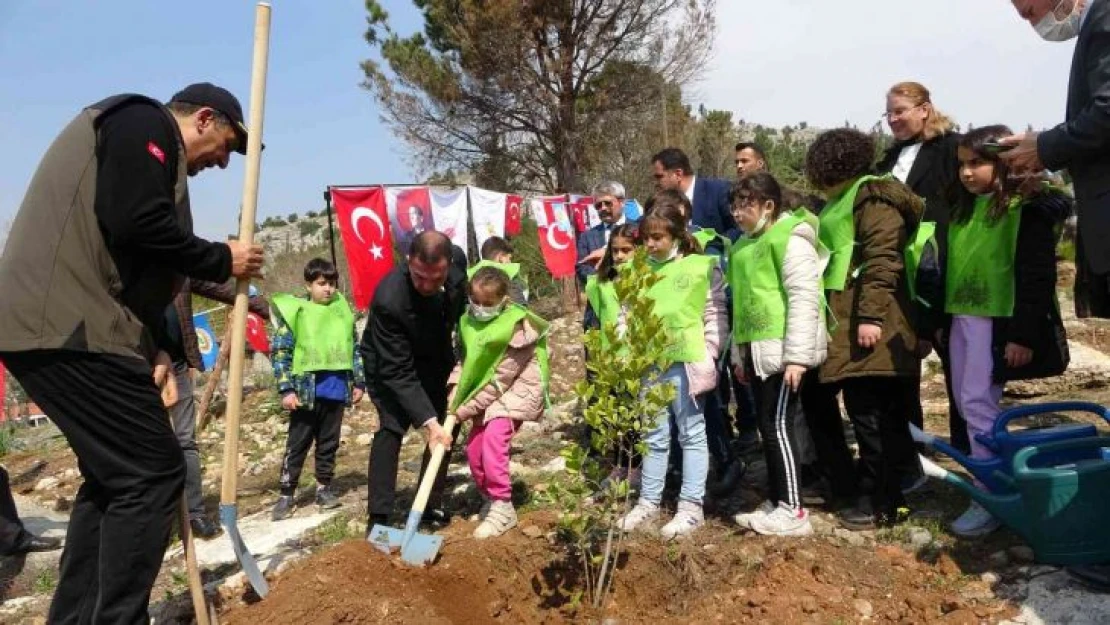 Kozan'da yanan ormanlar yeniden fidanla buluşuyor