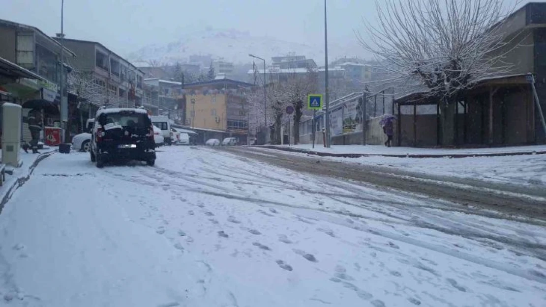 Kulp'ta kar yağışı başladı, okullar tatil edildi