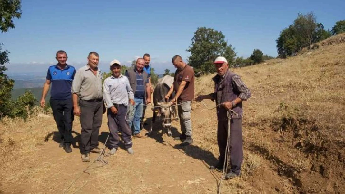 Kurbanda kaçtı, 26 gün sonra yakalandı