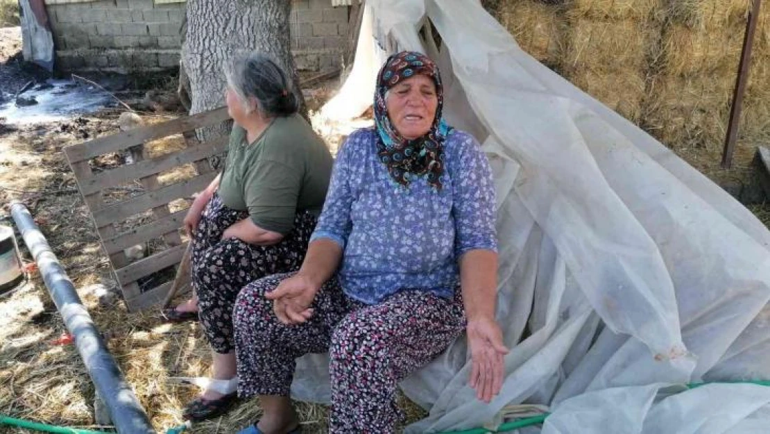 Manavgat yangının yıldönümünde yine yangınla mücadele etti