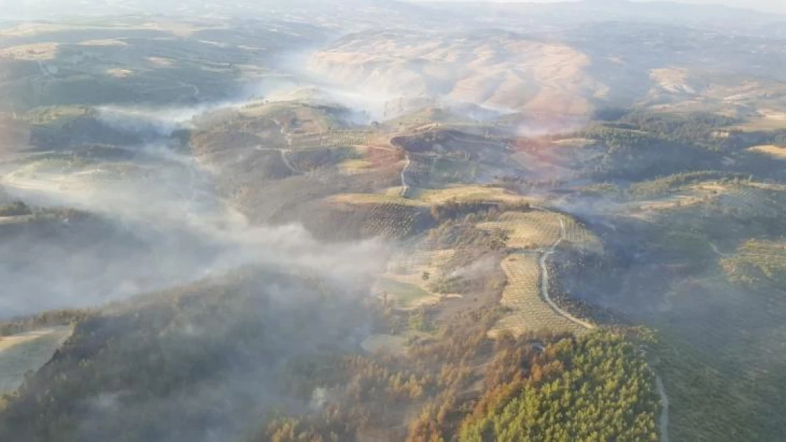Manisa'daki orman yangını kontrol altına alındı