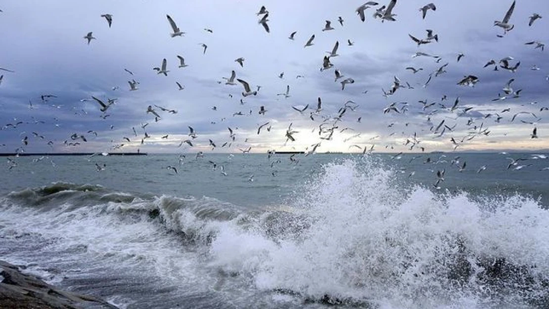 Marmara Denizi'nde ulaşıma lodos engeli
