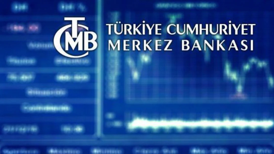Merkez Bankası yüzde 12 kar payı dağıtacak