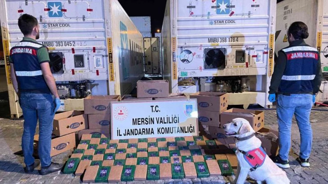 Mersin'de muz kolileri içerisine gizlenmiş 258 kilo kokain ele geçirildi