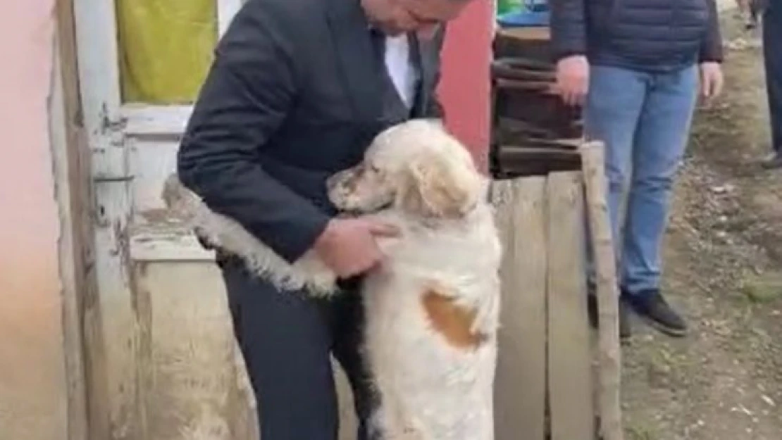Milletvekilinin merhameti ve kurtardığı köpeğin sadakati duygulandırdı