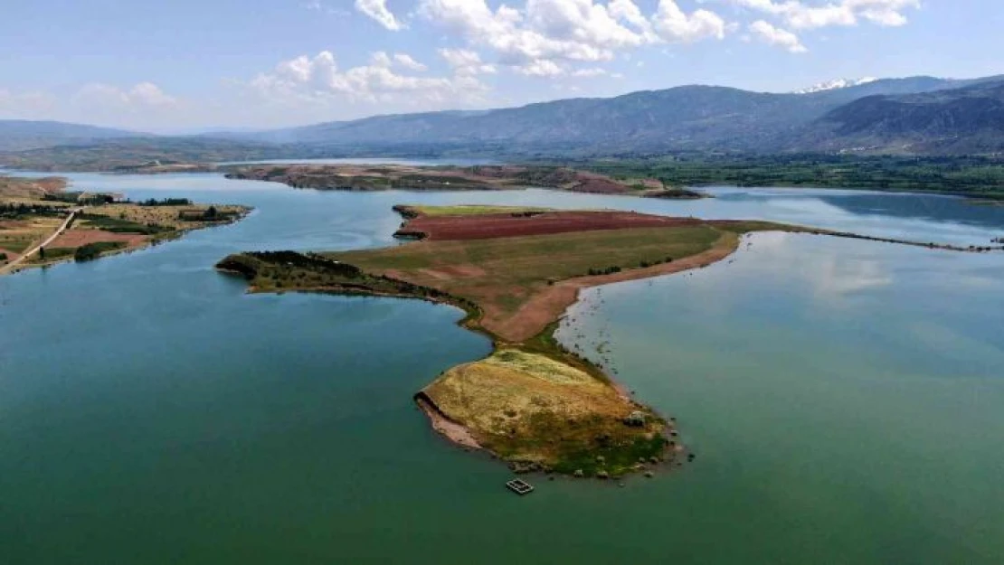 Milyonluk adaya müşteri çıkmadı, onlarda atayı sürüp yem bitkisi ekti