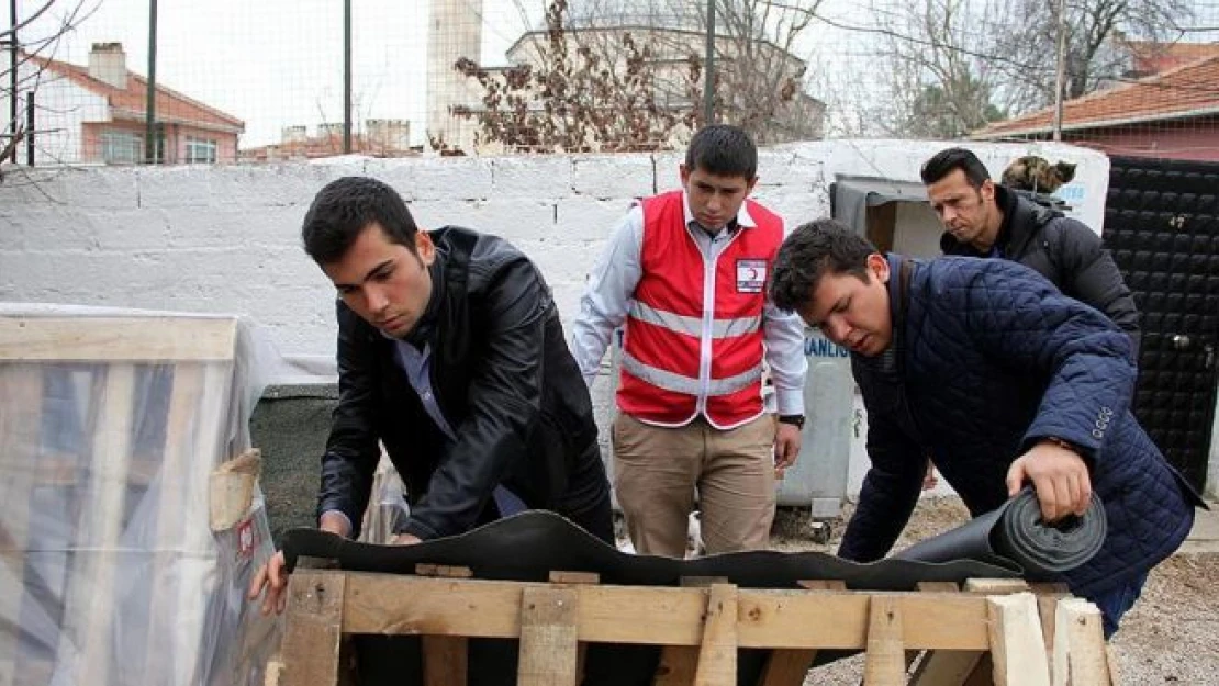 'Minik patileri üşümesin' diye kulübe yaptılar