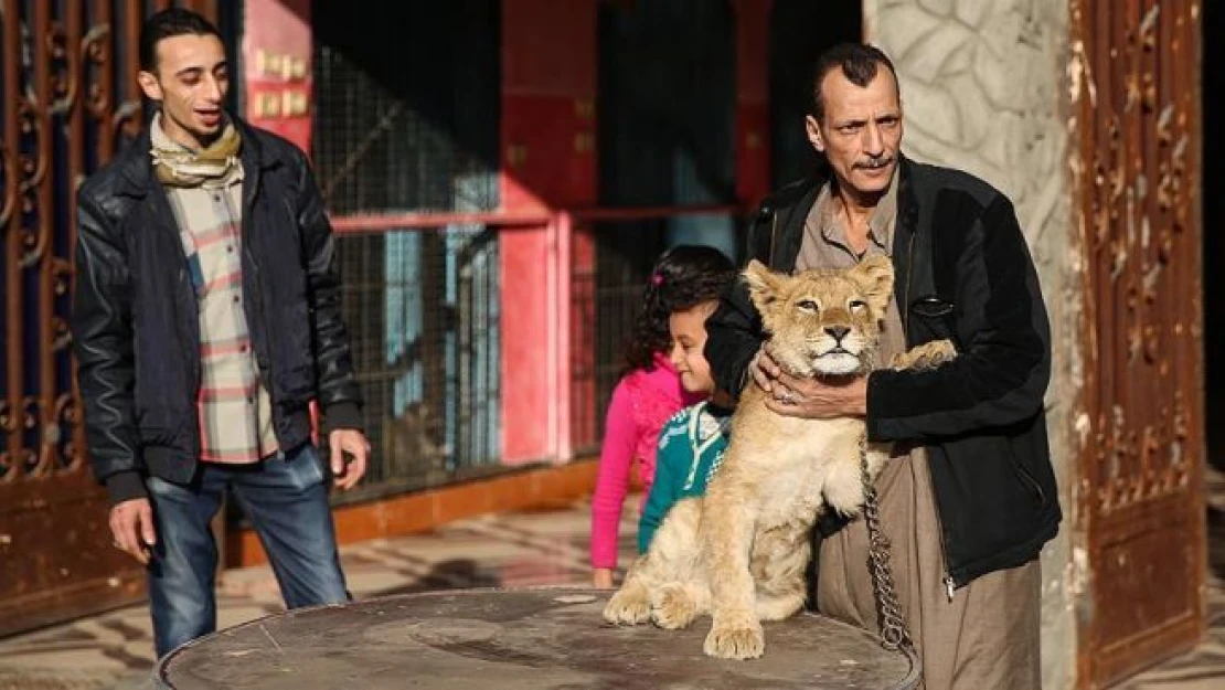 Mısır'da 'ev hayvanat bahçesi' rızık kapısı oldu