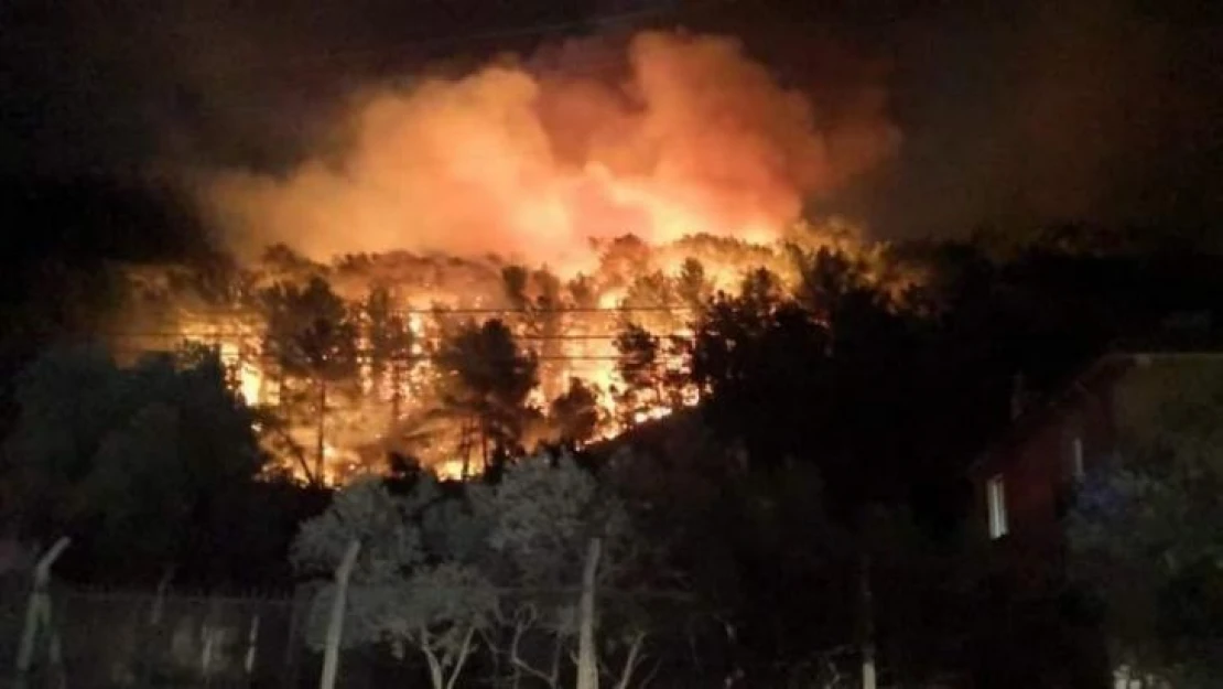 Muğla'nın Ula ilçesinde orman yangını