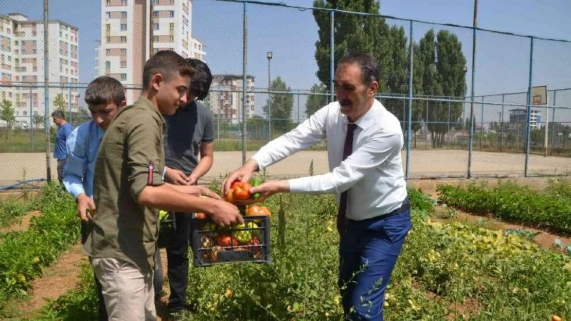 Muş'ta okul bahçesinde yetiştirilen sebzeler ihtiyaç sahiplerine dağıtılıyor