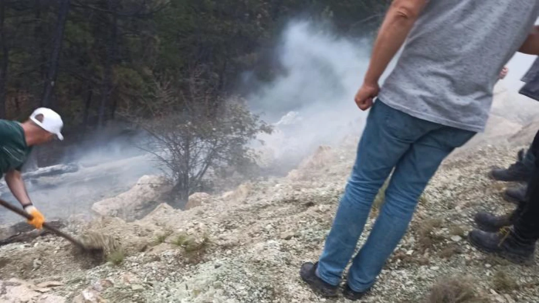 Nallıhan'da yıldırımın neden olduğu orman yangını büyümeden söndürüldü