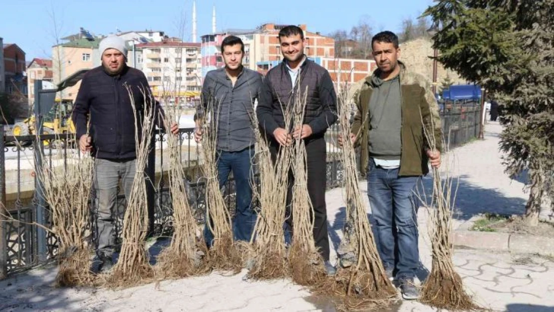 Ordu'da ipek böcekçiliği yaygınlaşıyor