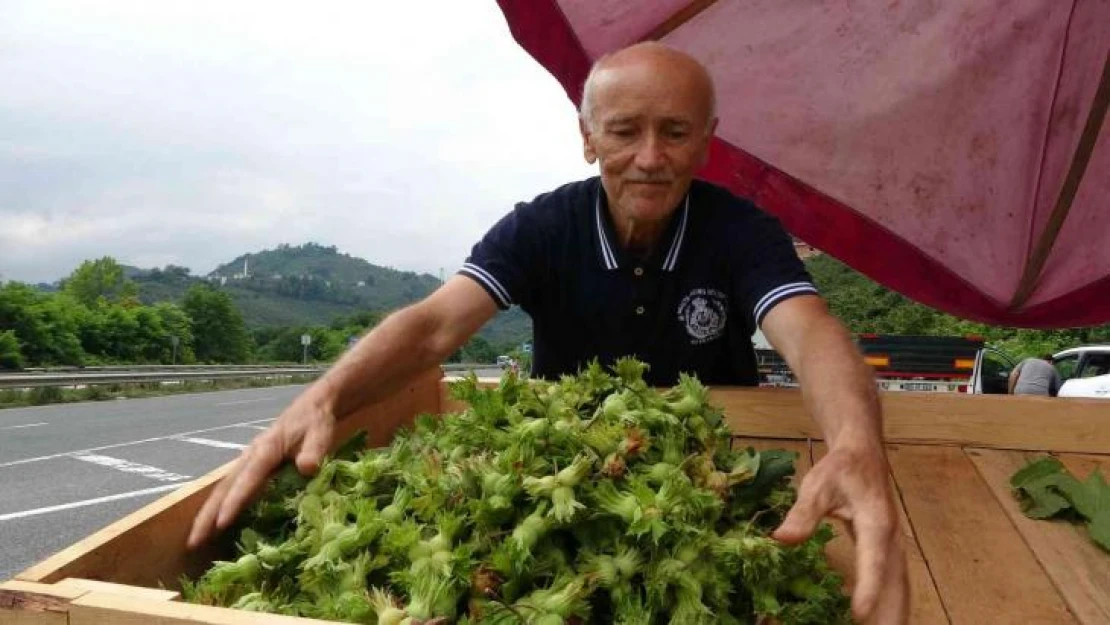 Ordu'da yeni fındık hasattan önce tezgahlarda