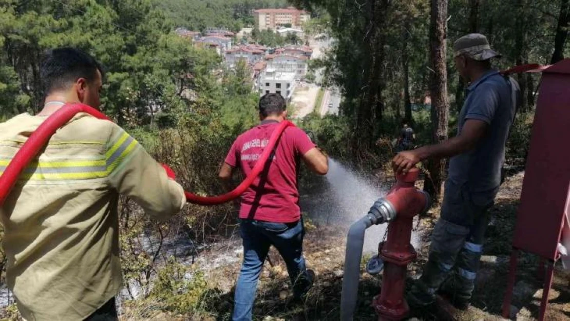 Ormanlık alanda çıkan yangın büyümeden söndürüldü