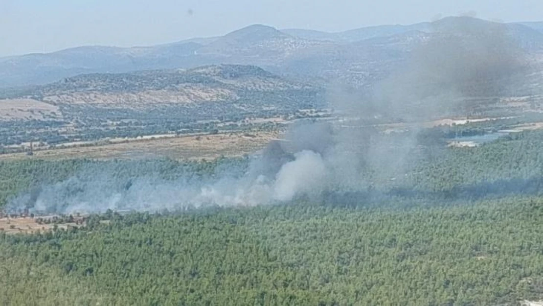 Ormanlık alanda çıkan yangın kontrol altına alındı