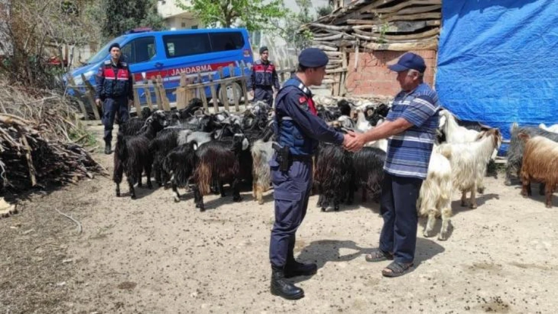 Ormanlık alanda kayboldular, jandarma dronla buldu