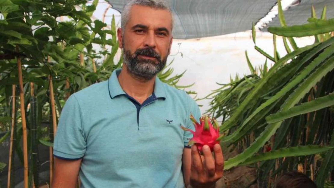 (ÖZEL) Bu meyveyi yetişmek için serasına kamera sistemi ve soba kurdu