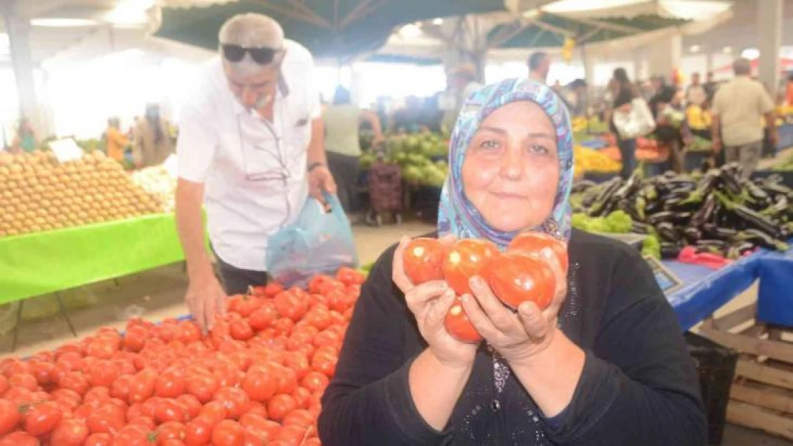 (ÖZEL) Salçalık domates ve biber sezonu başladı