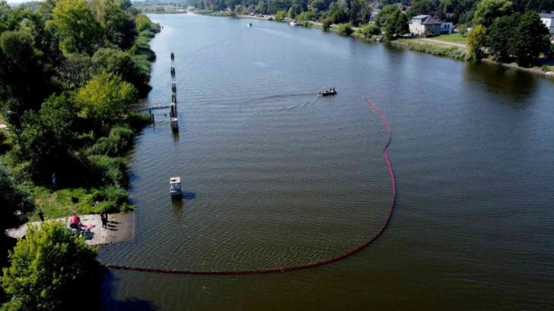 Polonya'nın Oder Nehri'nden 100 ton ölü balık çıkarıldı