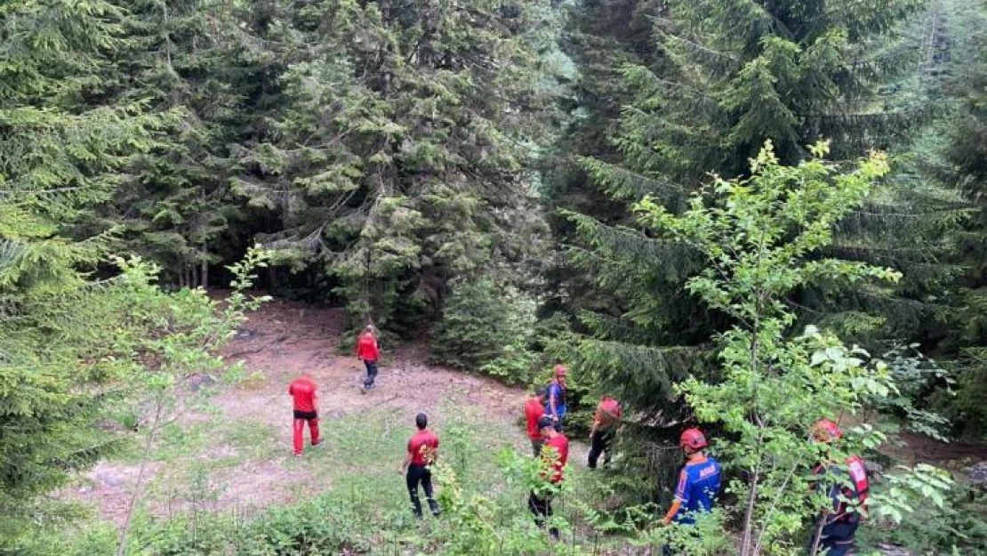 Rize'de dereye düşen Arap turisti arama çalışmaları devam ediyor