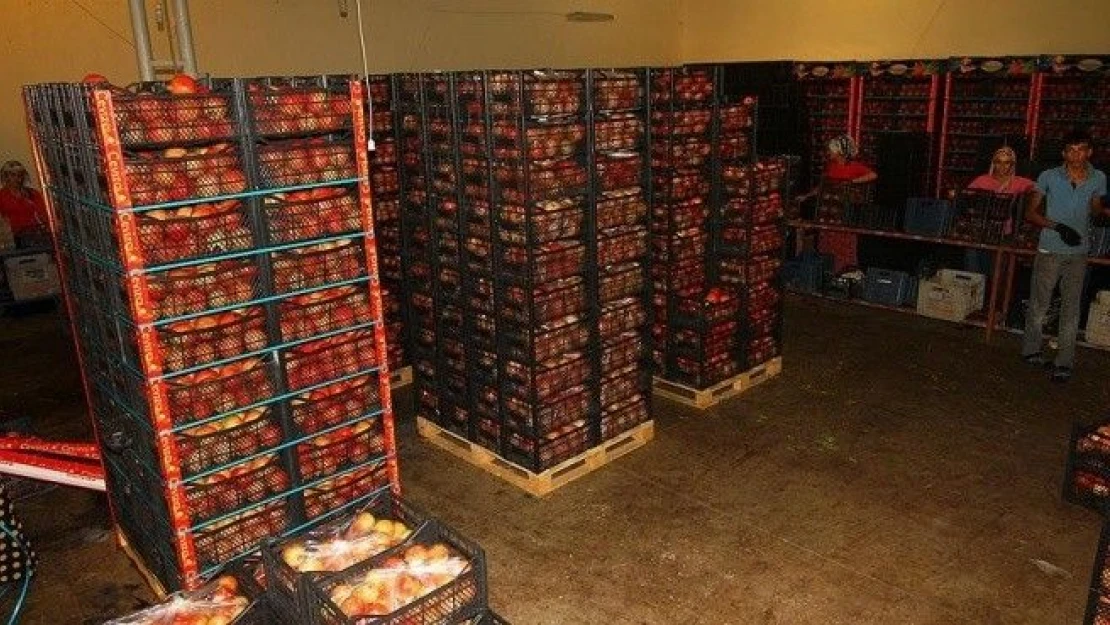 Rusya kapıları Türk ürünleri için 1 Ocak'a kadar açık