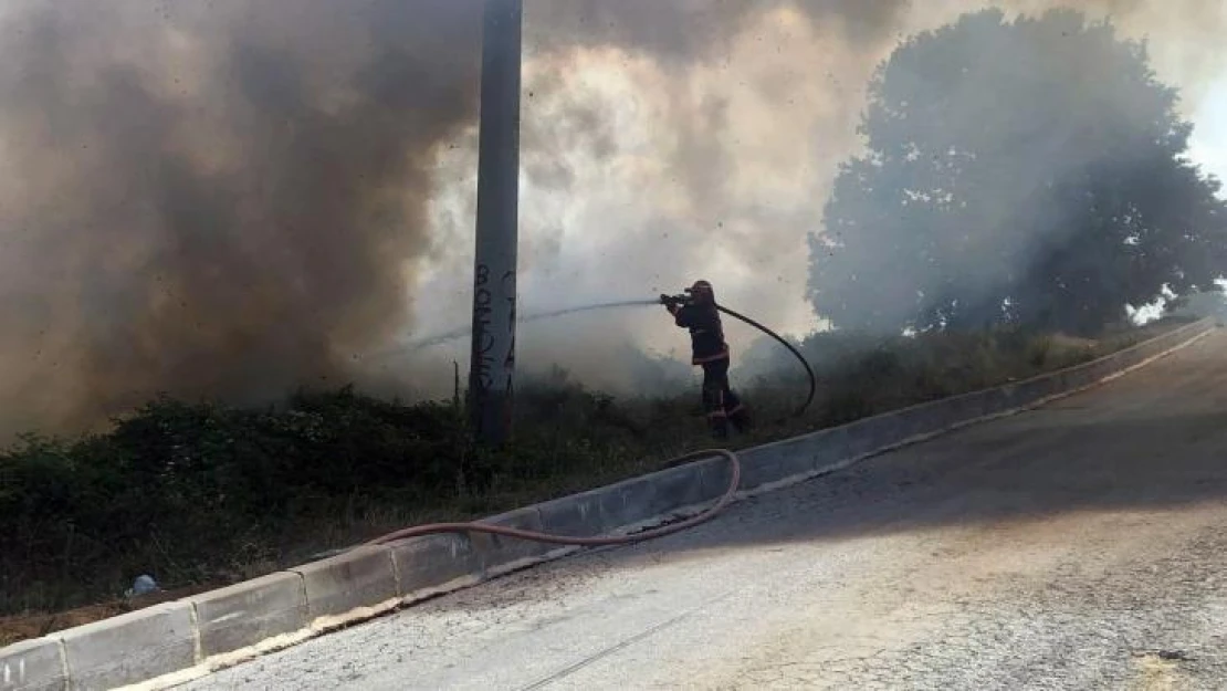 Sakarya'da ormanlık alanda korkutan yangın