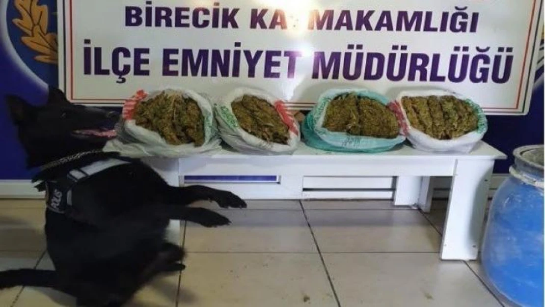 Şanlıurfa'da narkotik köpeği 'Kyra' uyuşturucuya geçit vermedi