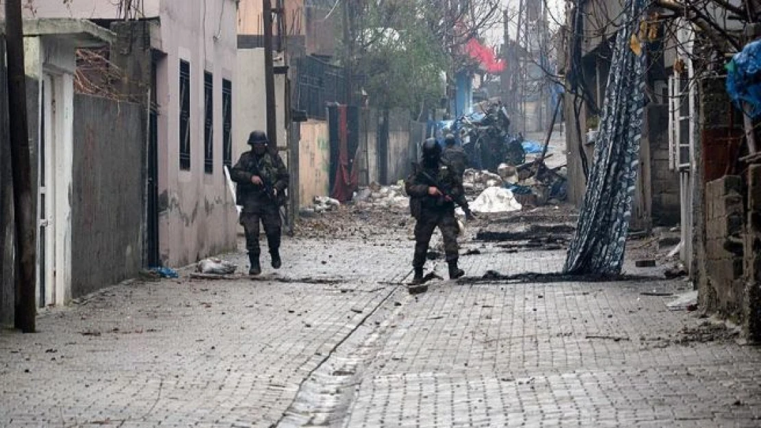 Şanlıurfa'da iki terörist teslim oldu