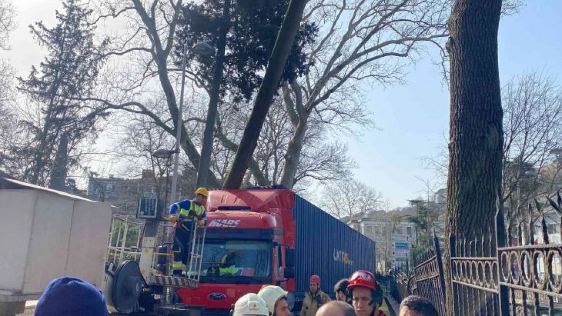 Sarıyer'de dar yolda manevra yapmaya çalışan tır ağaca çarptı