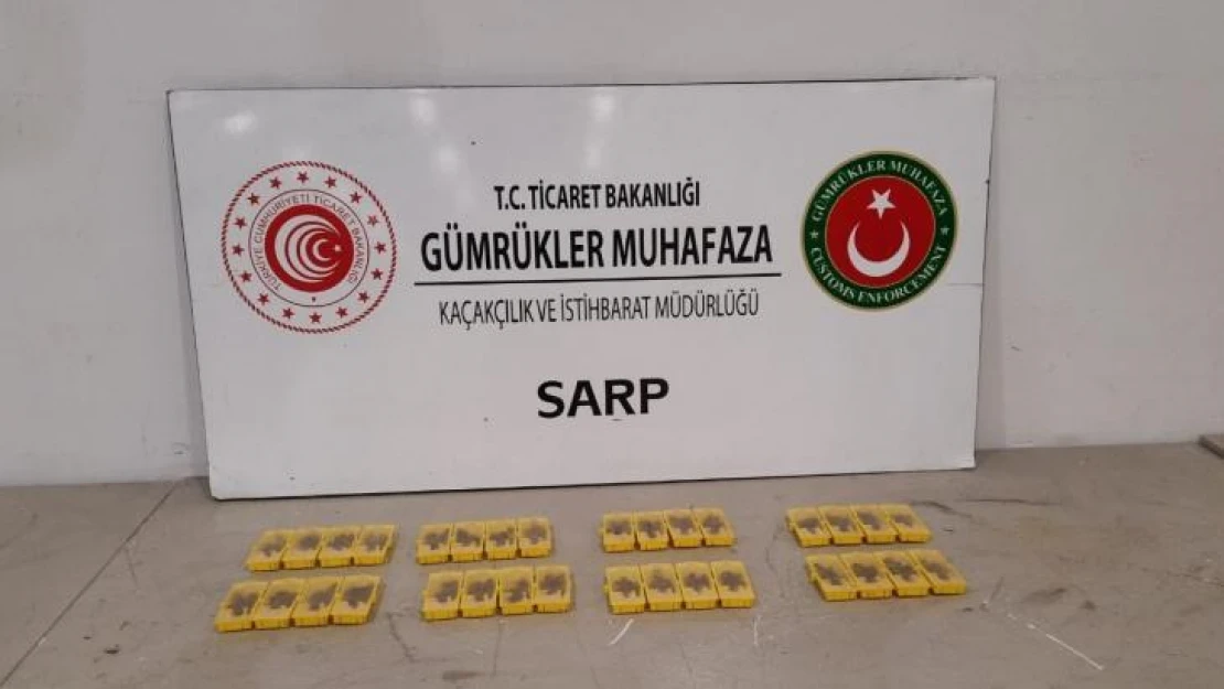 Sarp Sınır Kapısı'ndan Türkiye'ye sokulmak istenen 320 canlı arı ele geçirildi