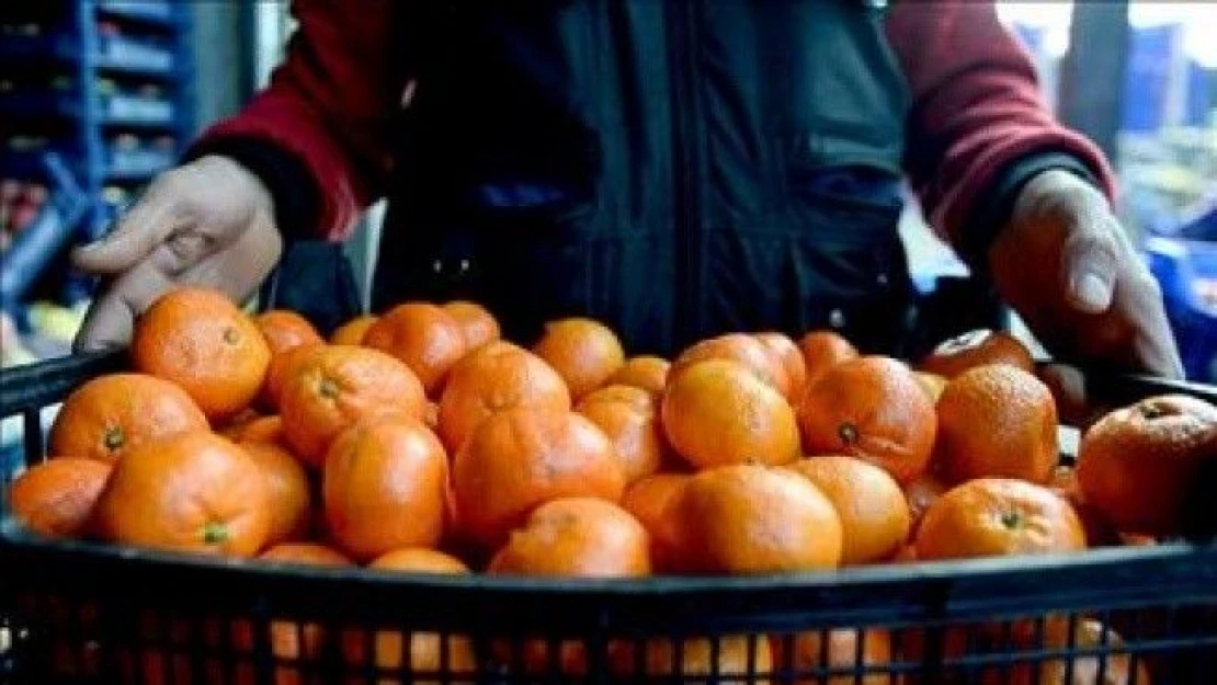 'Sebze meyve ihracatında Rusya'ya mahkum değiliz'