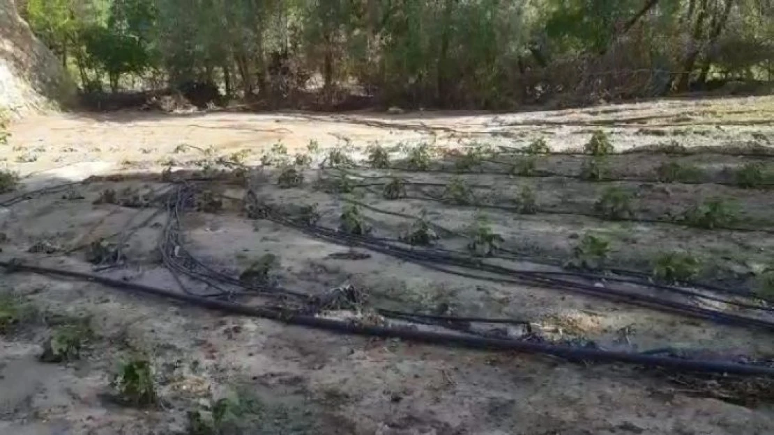 Sel ve dolunun vurduğu köyde tarım arazileri zarar gördü