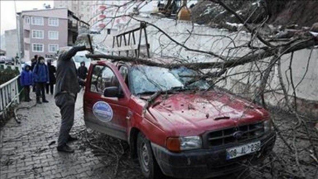 Seyir halindeki kamyonetin üzerine ağaç devrildi