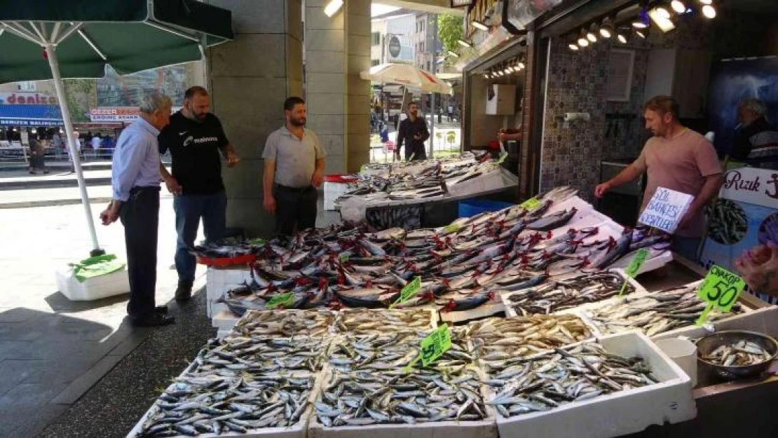 Sezonun en bereketli günü yaşandı, palamutlar tezgâhları doldurdu