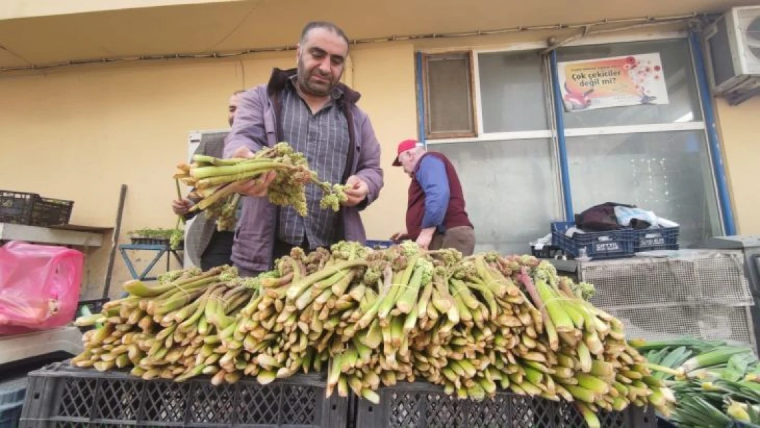 Şifa deposu 'ışkın' tezgahlardaki yerini aldı