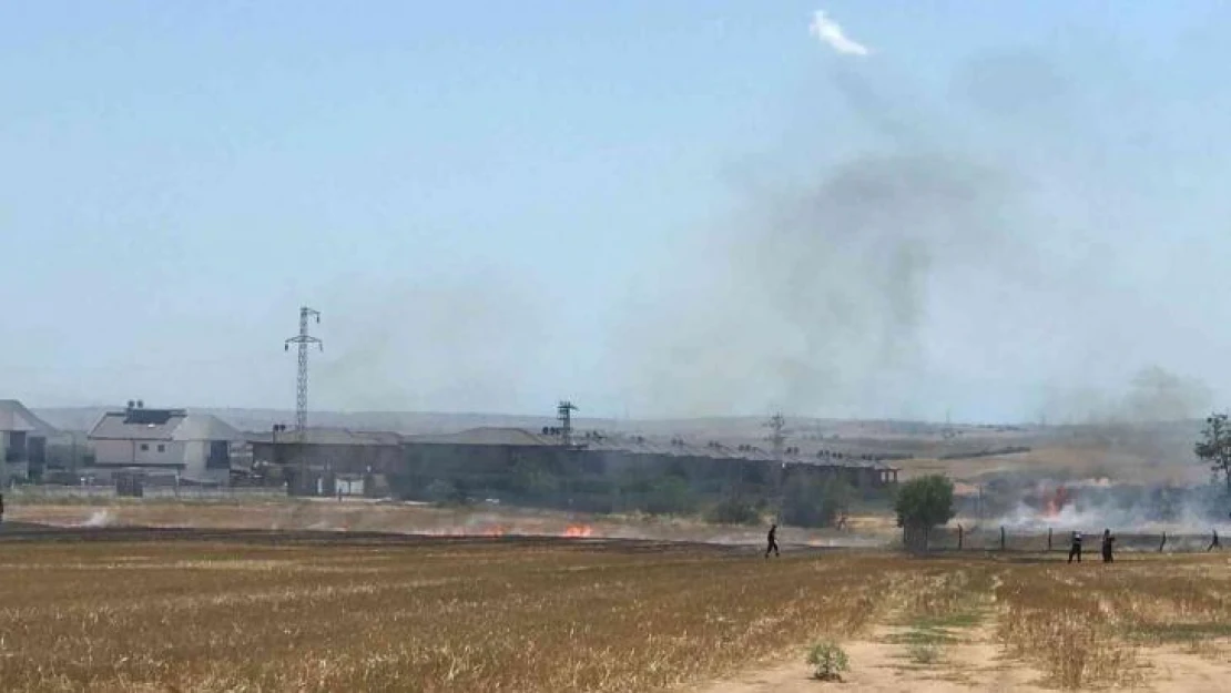 Sigara izmariti anız yangınına neden oldu